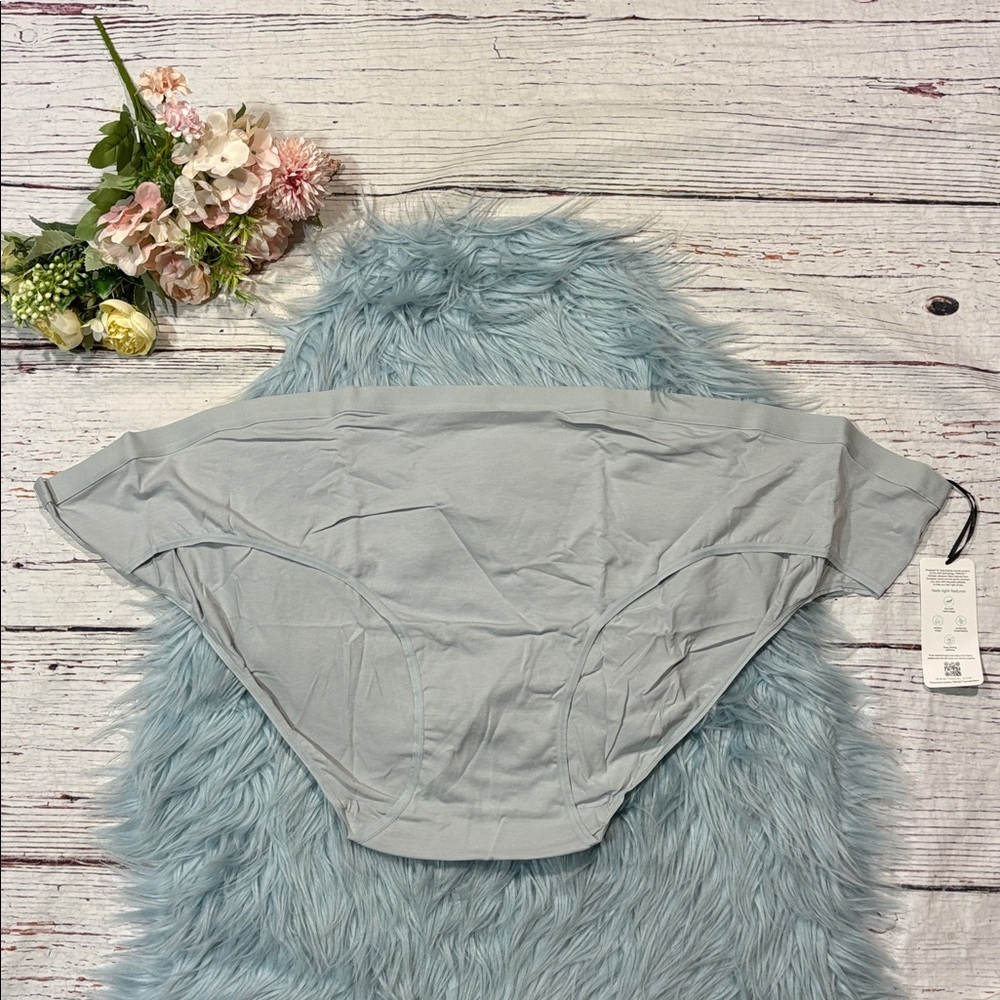 NWT Universal Standard Mid Rise Bikini Pearl Blue Underwear sz 3XL